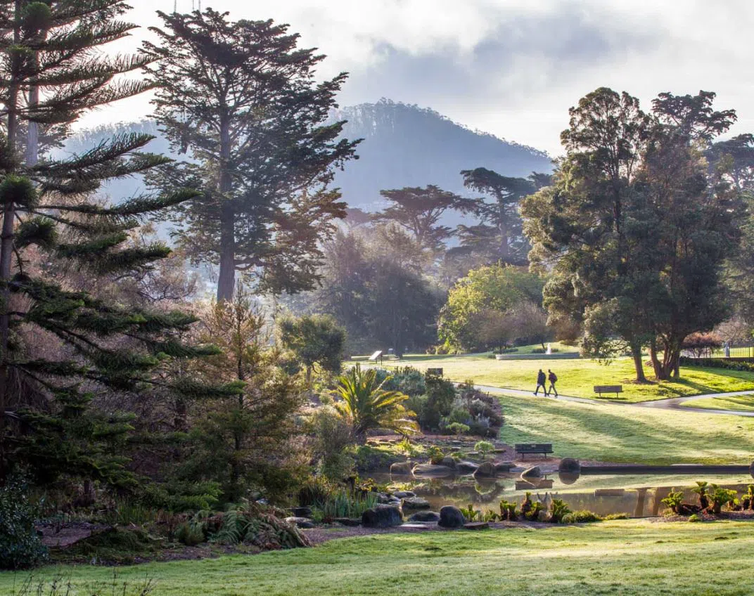 Conservatory of Flowers, San Francisco