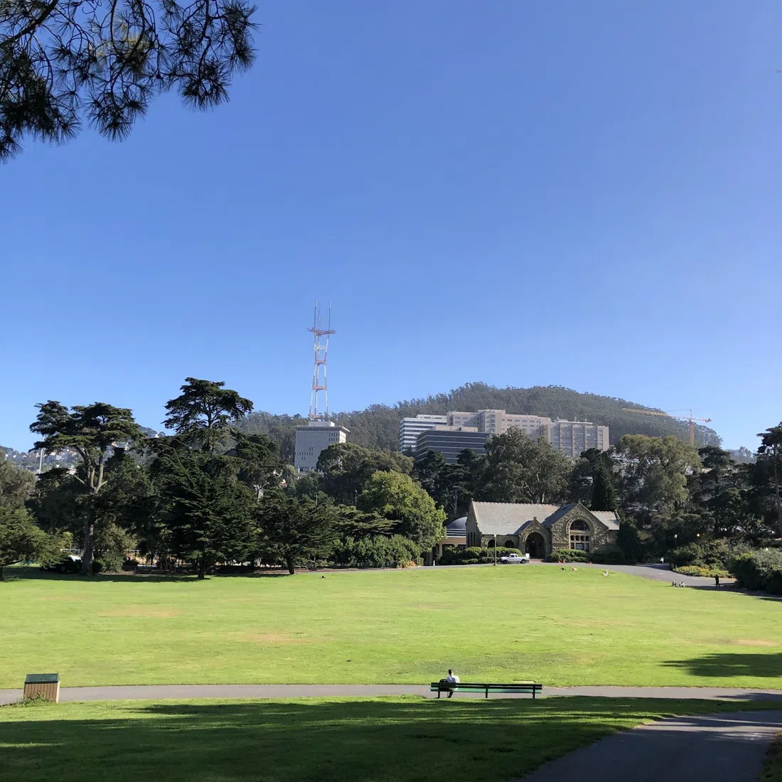 Hippie Hill (Robin Williams Meadow), San Francisco
