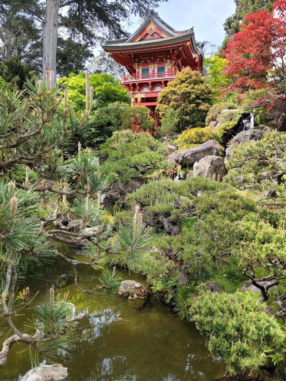 Japanese Tea Garden, San Francisco