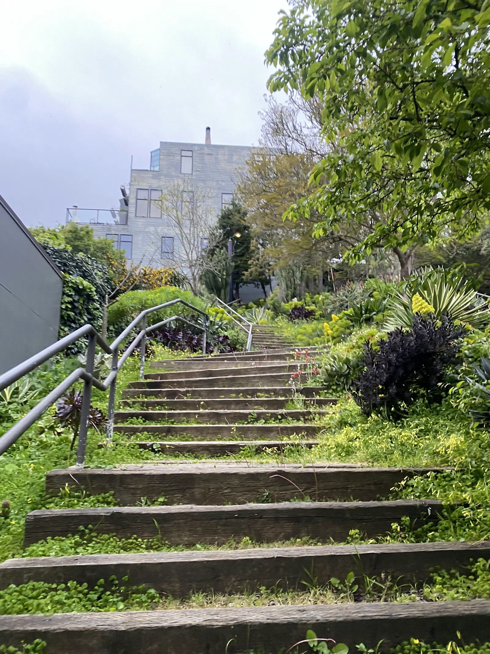Saturn Street Steps, San Francisco